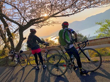 満開の桜とウサギ島 しまなみ海道・2019春｜旅ライド倶楽部・関西