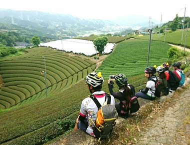 2020.06.06(sat)｜Tea tea tea ride in Wazuka｜Osaka Cycling Group