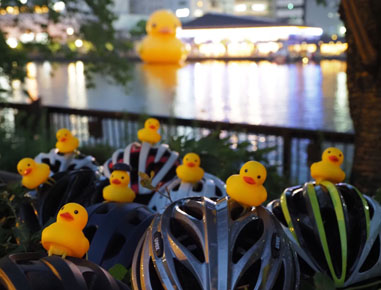 2020.08.29(sat)｜Welcome ride Finally, the duck boss｜Osaka Cycling Group