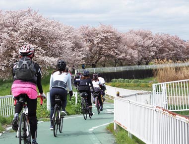 2021.04.03(sat)｜Tired of cherry blossom tree-lined ride-Nara｜Osaka Cycling Group